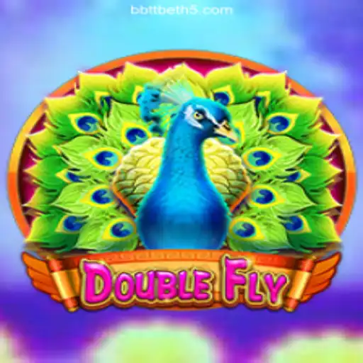 DoubleFly: An Exciting Adventure in Gaming Entertainment